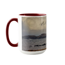 Solo volando en el faro de Nubble