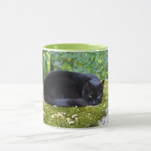 Taza Sooty