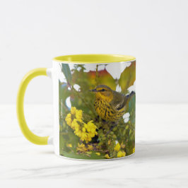 Taza Sorprendente ave de la guerra de mayo en el Cabo e