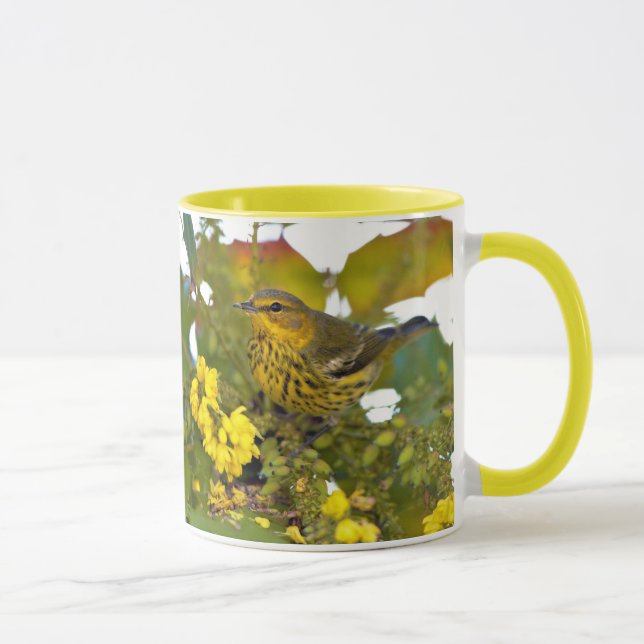 Taza Sorprendente ave de la guerra de mayo en el Cabo e (Derecha)