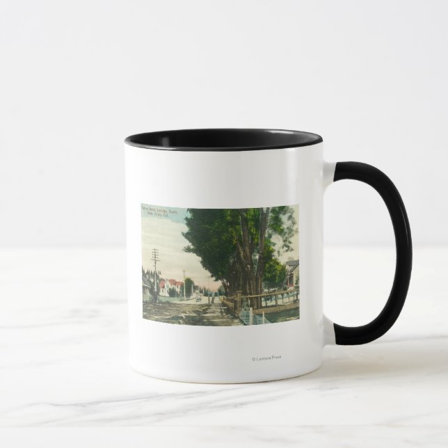 Taza Southern View desde Auburn Street (Derecha)