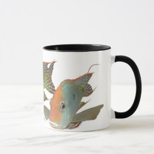 Taza SP de Geophagus. "Cabeza anaranjada de Tapajos "