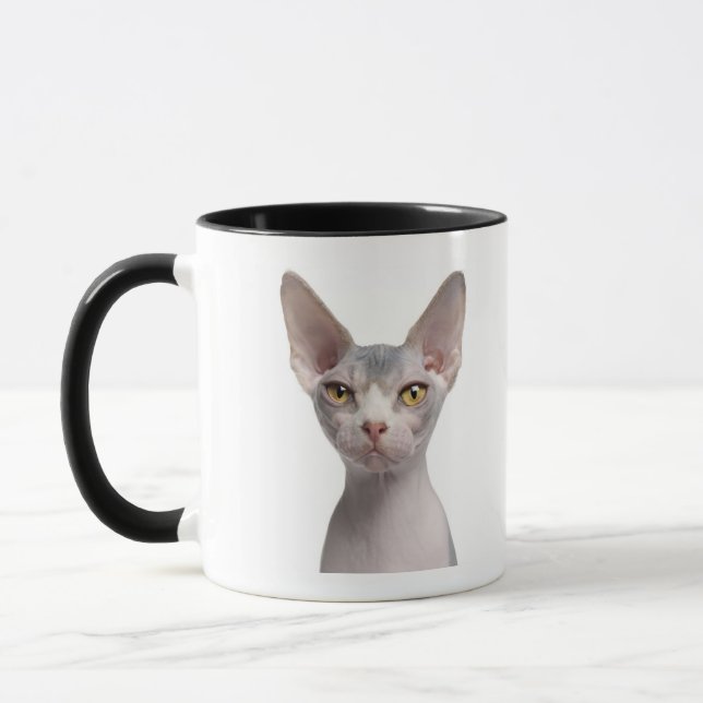 Taza Sphynx (7 meses) (Izquierda)