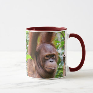 Taza Sr. Bernie Orangutan