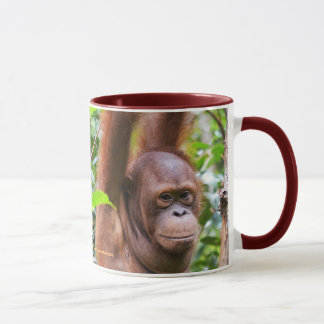 Taza Sr. Bernie Orangutan