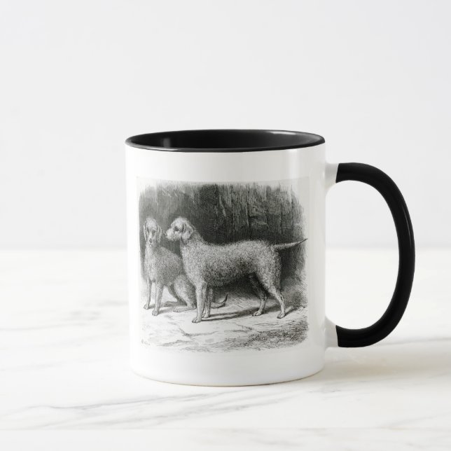 Taza Sr. F. Armstrong de los terrieres de Bedlington (Derecha)