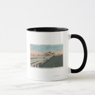 Taza St Petersburg, la Florida - vista de millón de