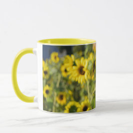 TAZA STAND OUT SUNFLOWER!