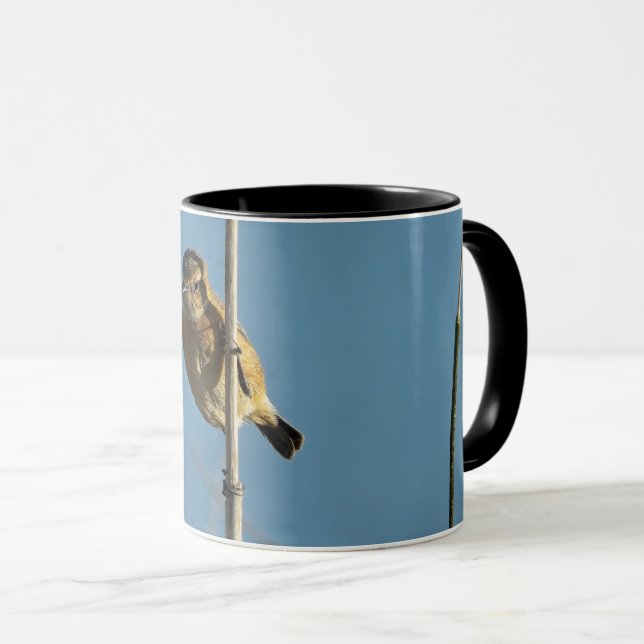Taza Stonechat (Anverso derecho)
