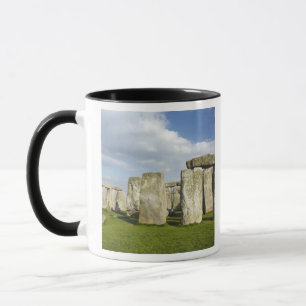 Taza Stonehenge (alrededor del 2500 a.C.), Patrimonio M
