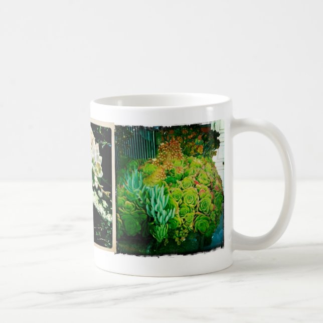 Taza suculenta (Derecha)