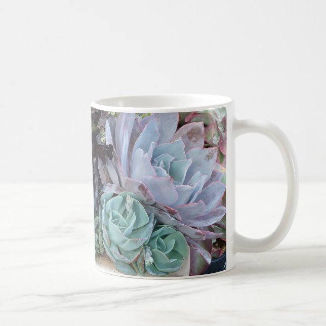 Taza suculenta 2 del jardín (Derecha)