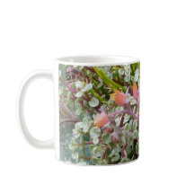 Taza suculenta del jardín