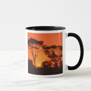 Taza Sudáfrica. Atardecer africano.