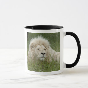 Taza Sudáfrica, East London, Inkwenkwezi Privado