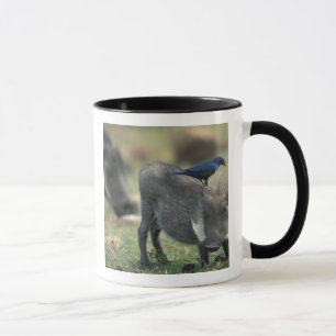 Taza Sudáfrica, Pilanesburg GR, jabalí