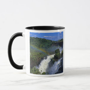 Taza Sudamérica; América Latina; Argentina; Brasil;