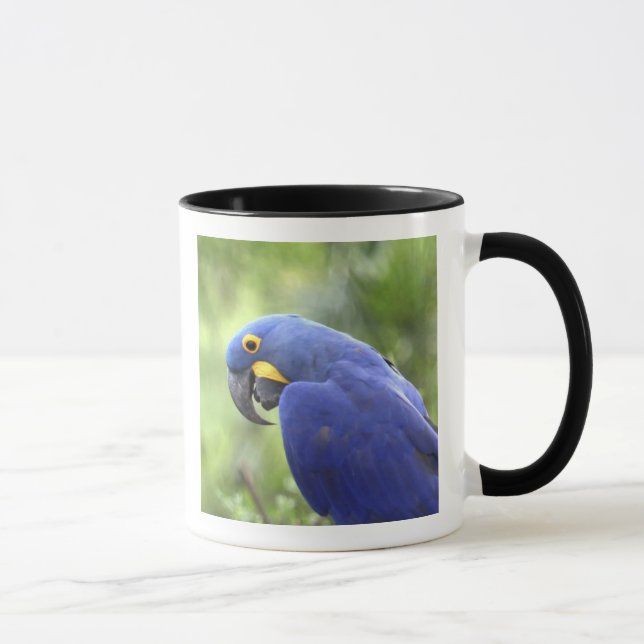 Taza Sudamérica, Brasil, Pantanal (Derecha)