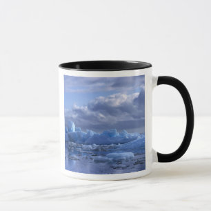 Taza Sudamérica, Chile, Parque Nacional Laguna San Rafa
