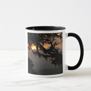 Taza Sudamérica, Ecuador, escena de bosque nublado en