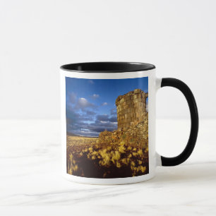Taza Sudamérica, Perú, cerca del Lago Titicaca.