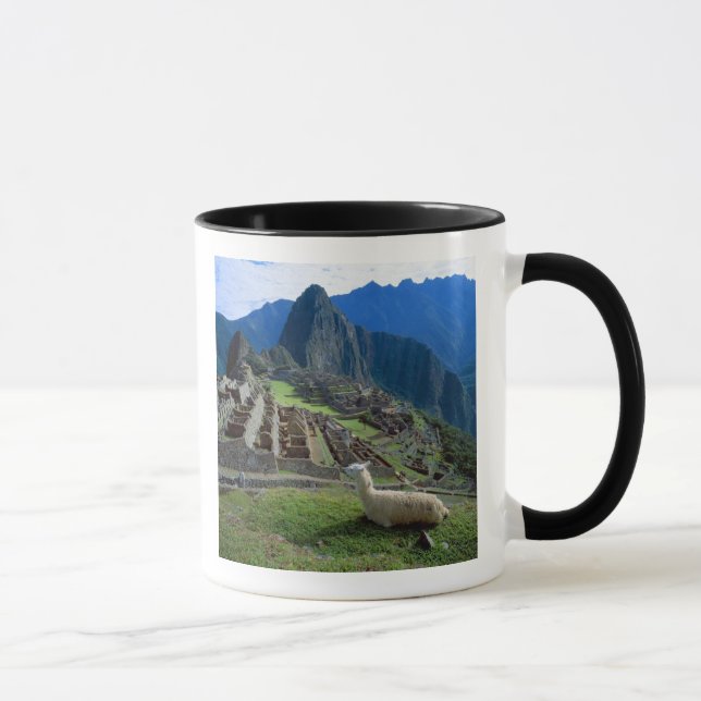 Taza Sudamérica, Perú. Una llama descansa sobre una col (Derecha)