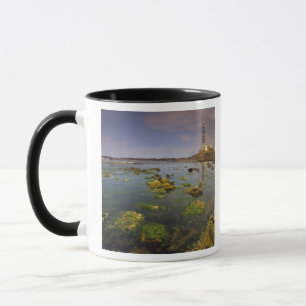 Taza Sudamérica, Uruguay, Punta Jose Ignacio,