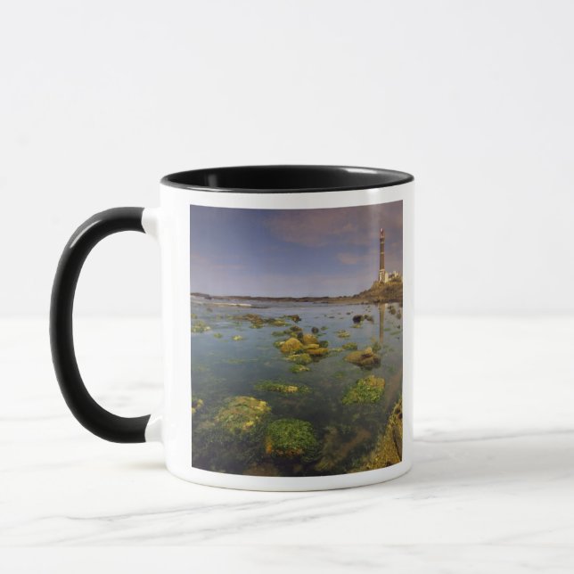 Taza Sudamérica, Uruguay, Punta Jose Ignacio, (Izquierda)
