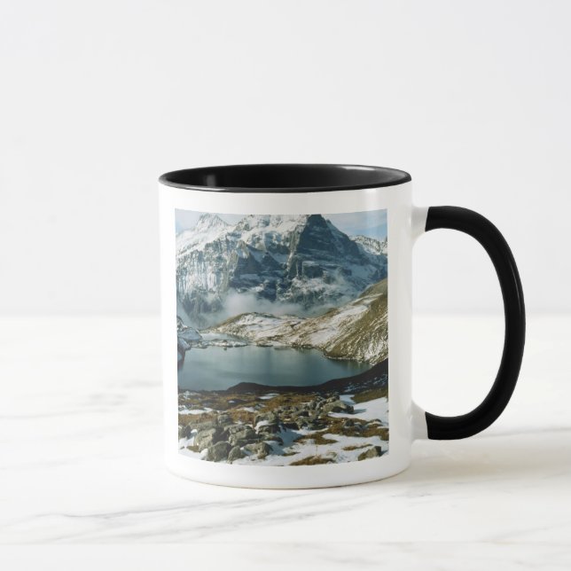Taza Suiza, Grindelwald, Alpes Berneses, Vista (Derecha)