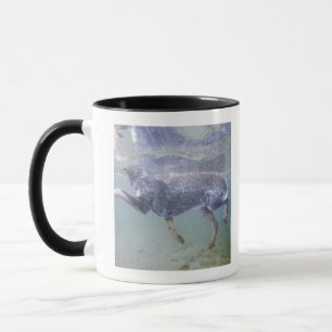 Taza Sun Valley, Idaho, los E.E.U.U.