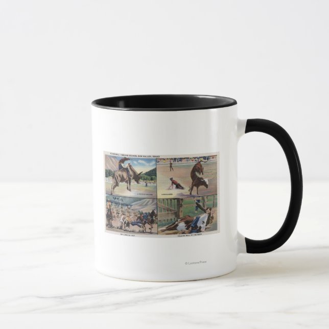 Taza Sun Valley, IDRodeo Escenas de perros toros (Derecha)