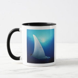 Taza Superficie inferior de un rayo de manta