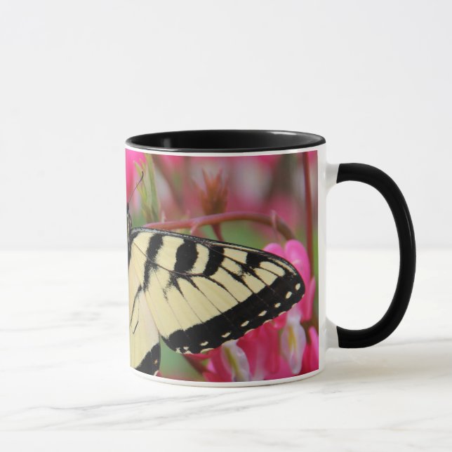 Taza Swallowtail del este (Derecha)