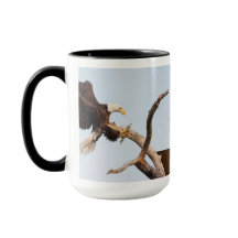 SWFEC consiguen la acción cercana (las diversas