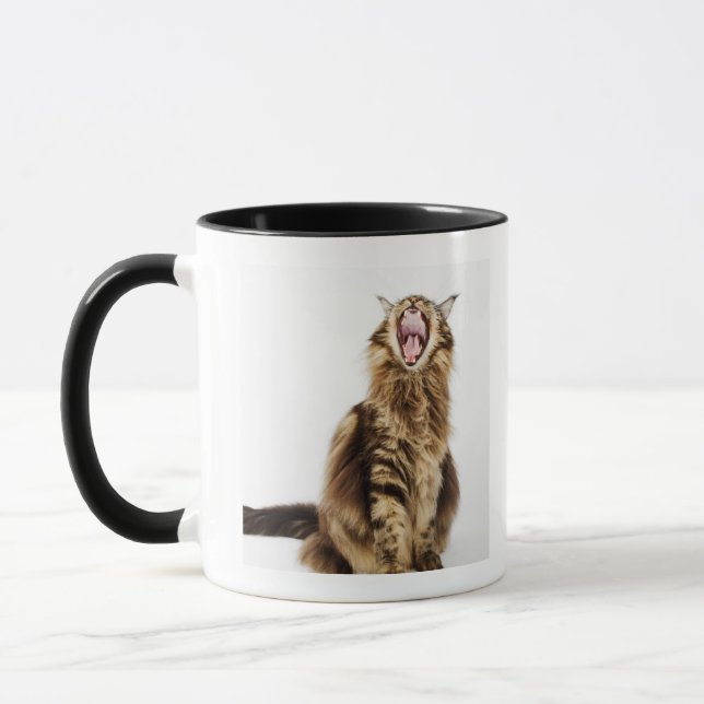 Taza Tabby principal clásico del Coon de Brown (Izquierda)