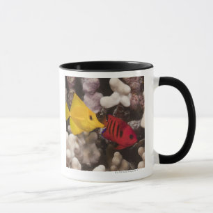 Taza Tang amarillo