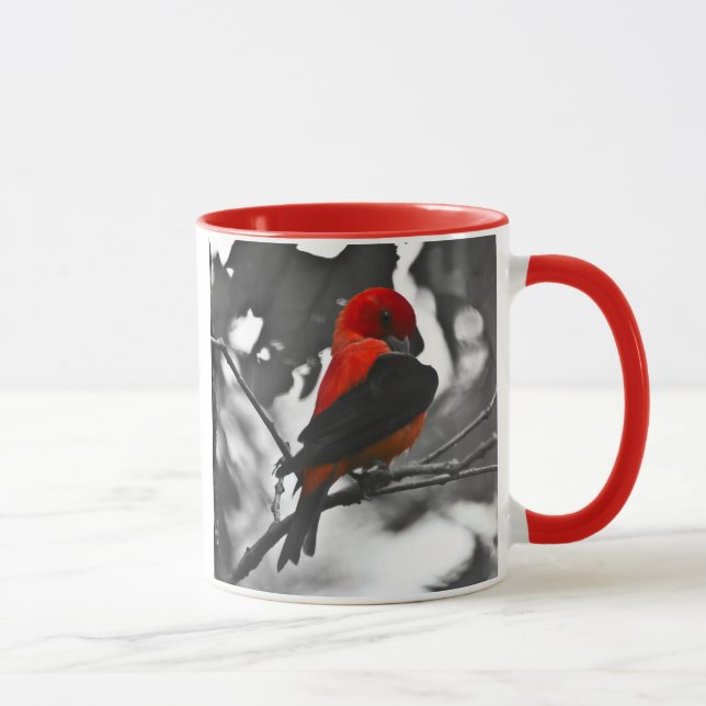 Taza Tángara Escarlata macho (Derecha)