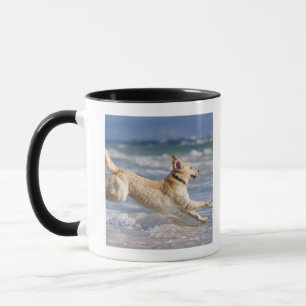 Taza Tarifa, Cádiz, Andalucía, España