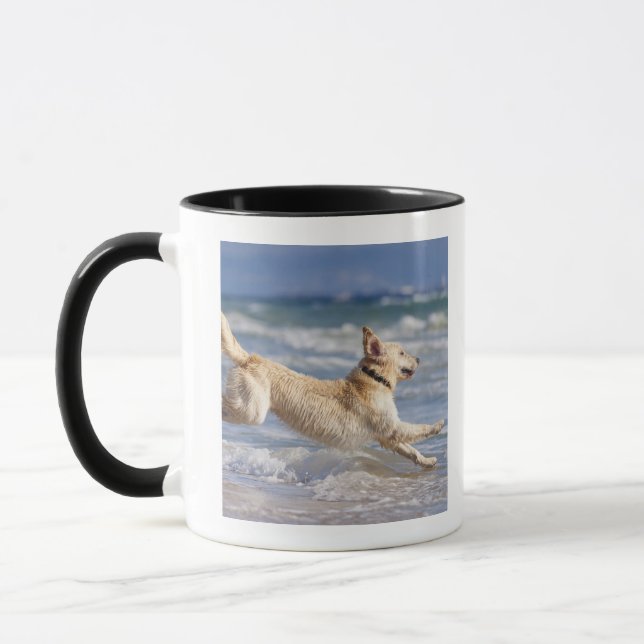 Taza Tarifa, Cádiz, Andalucía, España (Izquierda)