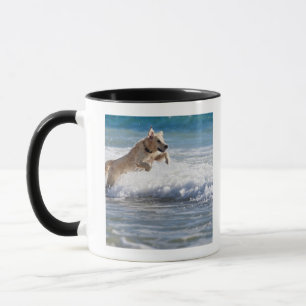 Taza Tarifa, Cádiz, Andalucía, España 2