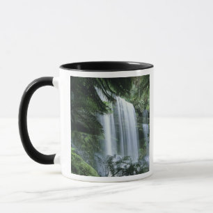 Taza Tasmania, Parque Nacional Mt. Field, Russell Falls
