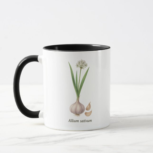 Taza Tasse botanique Allium sativum (Izquierda)