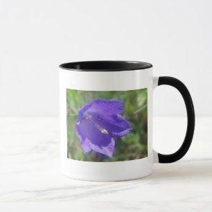Taza Tasse braue Glockenblume