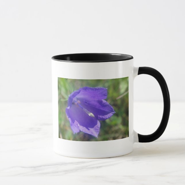 Taza Tasse braue Glockenblume (Derecha)
