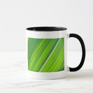 Taza Tasse hellgrünes Maisblattdesign