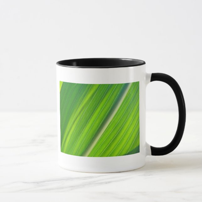Taza Tasse hellgrünes Maisblattdesign (Derecha)