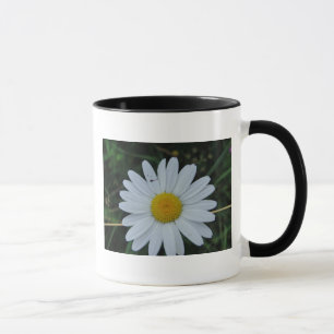 Taza Tasse weisse Margeritenblüte