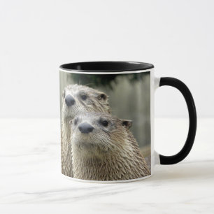 Taza "Taza de la absurdidad de la nutria"