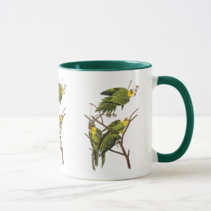 Taza Taza: Parakeet - por Juan Audubon