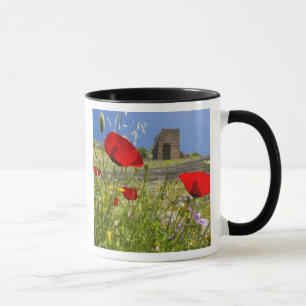 Taza Teatro antiguo de la Acrópolis de Pergamón